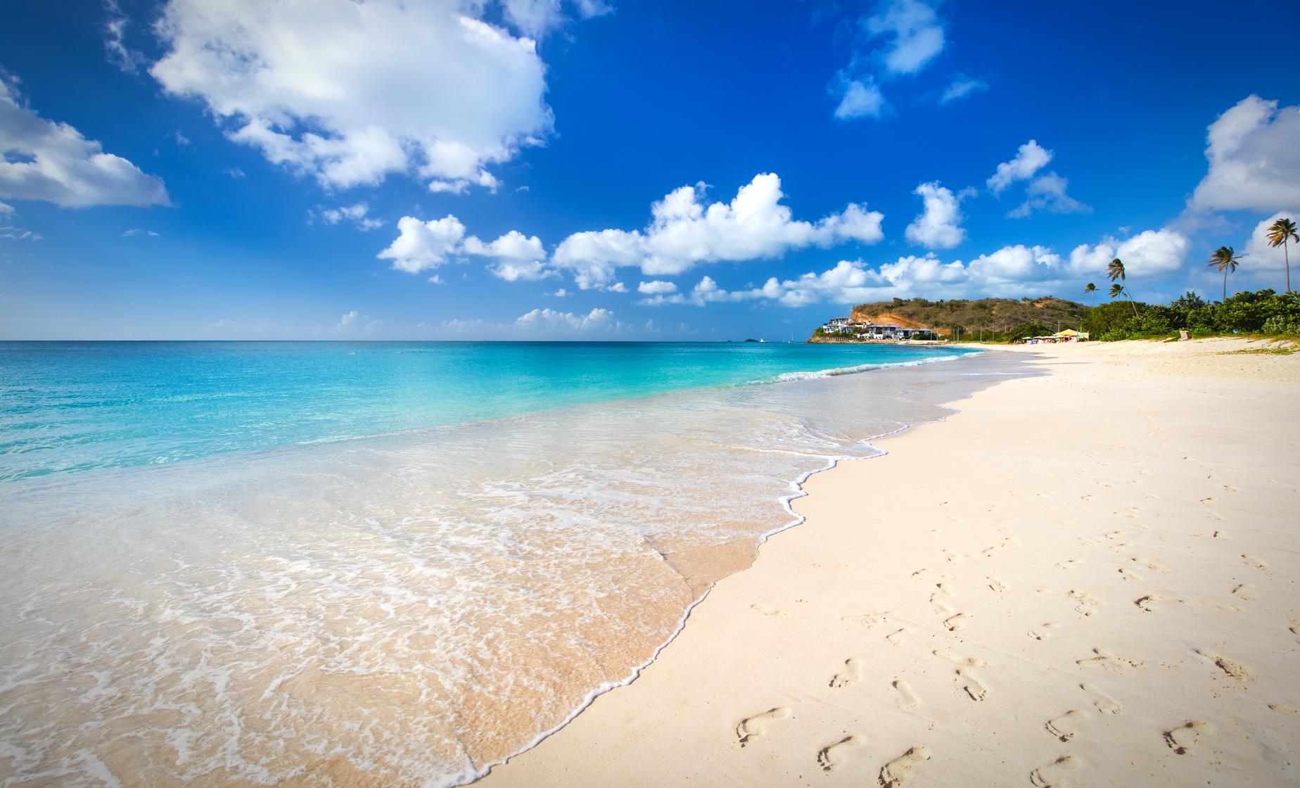 Best Antigua Beaches Tour - Image 1