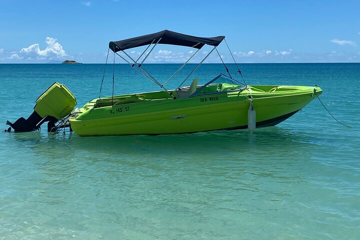 Boat charter - Image 1
