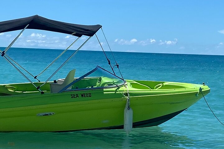 Boat charter - Image 3