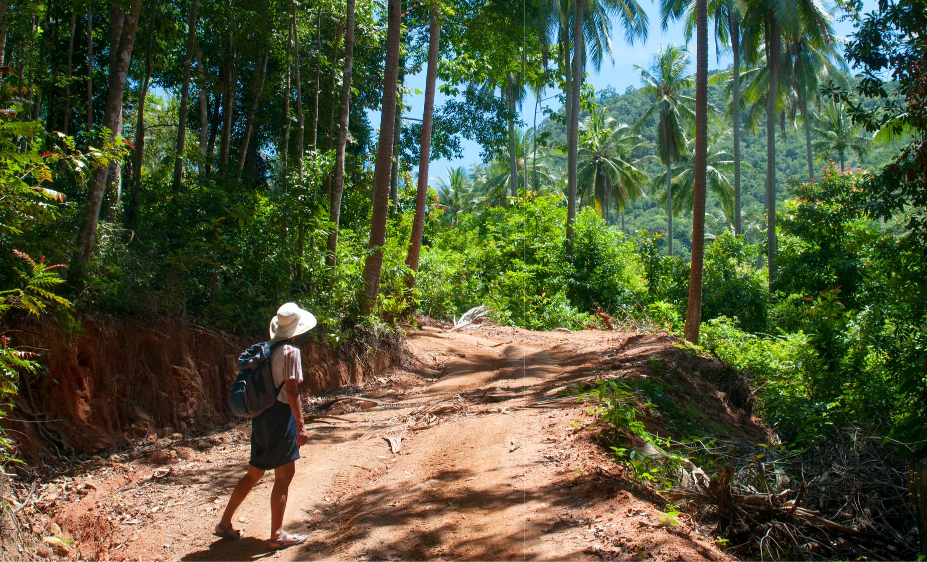 Challenging Hike to Wallings Dam and Swim - Image 1