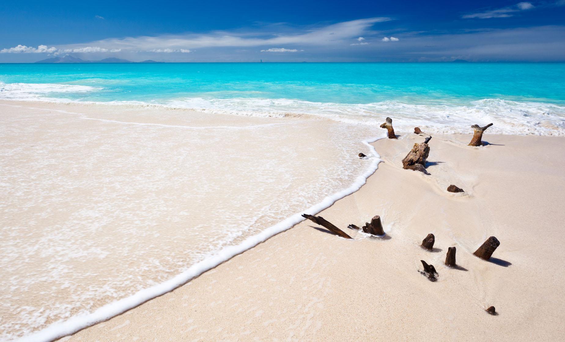 Classic Beach Day - Image 1