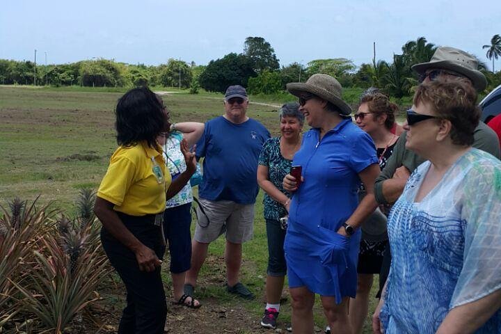 Cultural and Historical Home Tour in The Antiguan Experience - Image 2