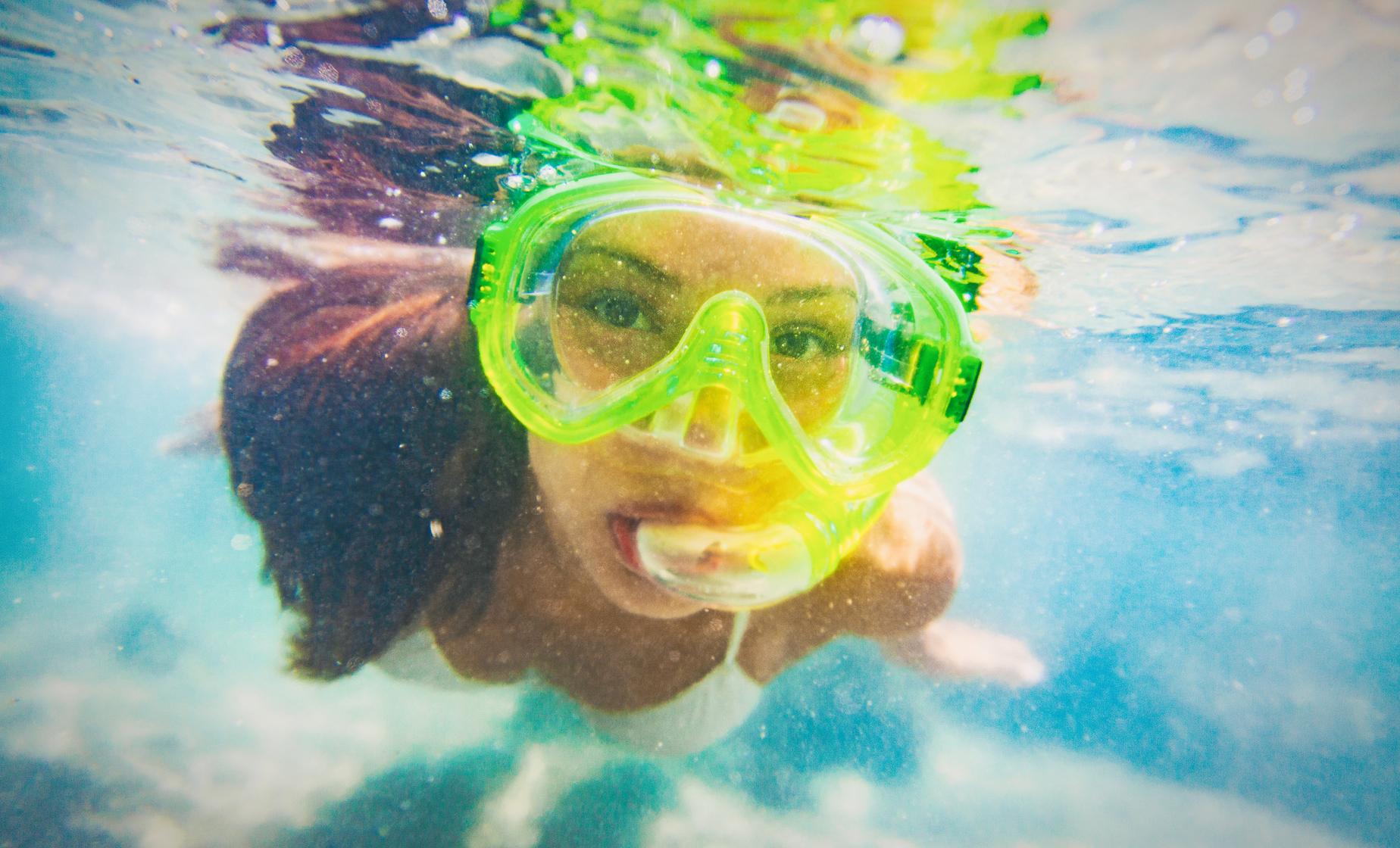 Eco Tour and Snorkel - Image 1