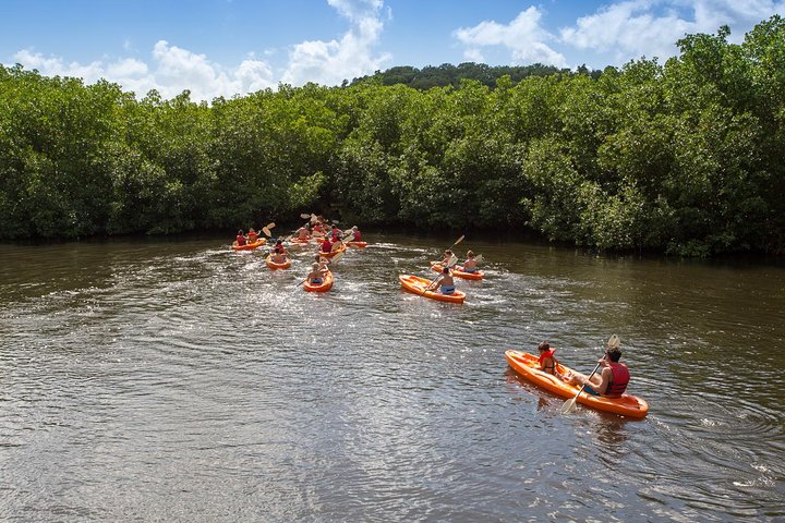  Full Day SoCoHo - Historic Sites - Mangrove Kayak & Reef Snorkeling - Image 3