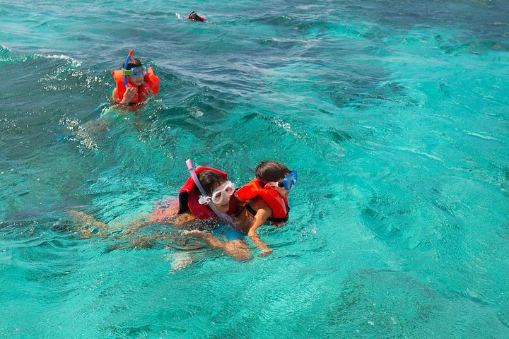  Full Day SoCoHo - Historic Sites - Mangrove Kayak & Reef Snorkeling - Image 4
