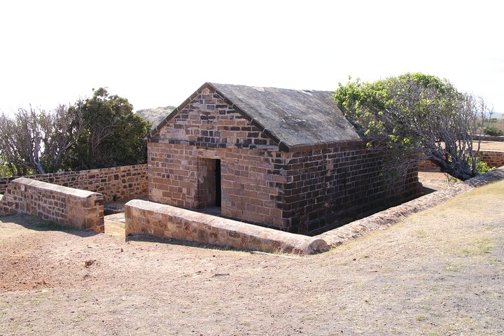 Historic Island Tour (Barbuda Day Tours, Stingray & Snorkeling also available). - Image 5
