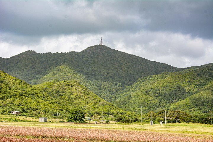 Mount Obama Hiking Adventure - Image 1