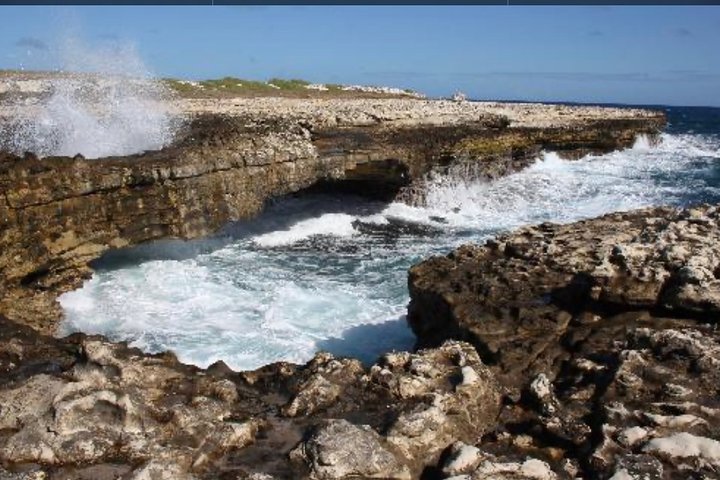 Scenic Tour of Antigua - Image 4
