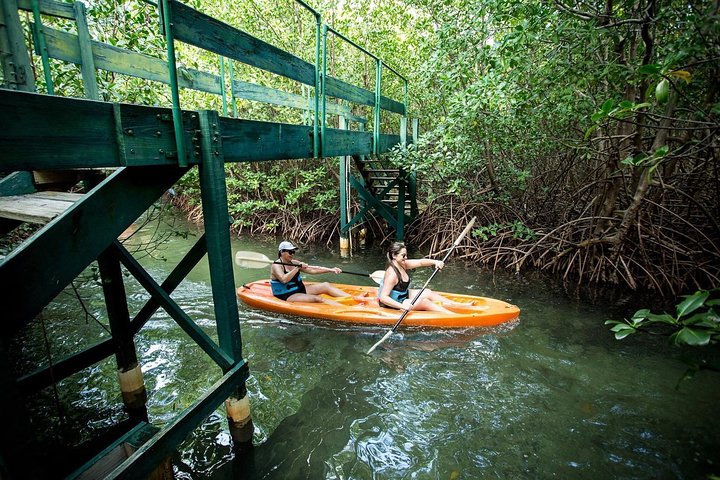 SoCoHo Half Day - Mangrove Kayak & Reef Snorkeling - Image 3
