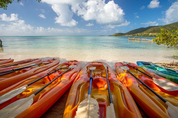 SoCoHo Half Day - Mangrove Kayak & Reef Snorkeling - Image 2