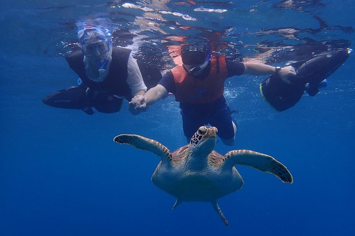 Turtle Beach Power Snorkeling Adventure - Image 5