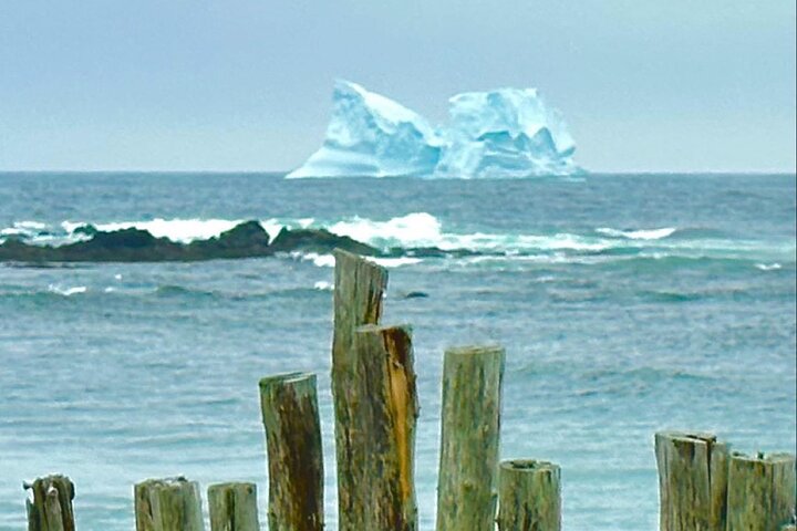 4 Hour St John’s Tour w Come From Away star (lunch included) - Image 1