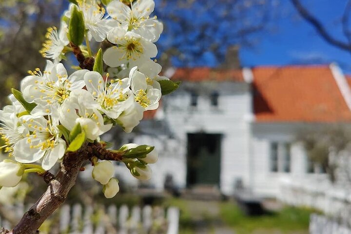 Highlights of the Region Haugesund Guided Bus Tour  - Image 5