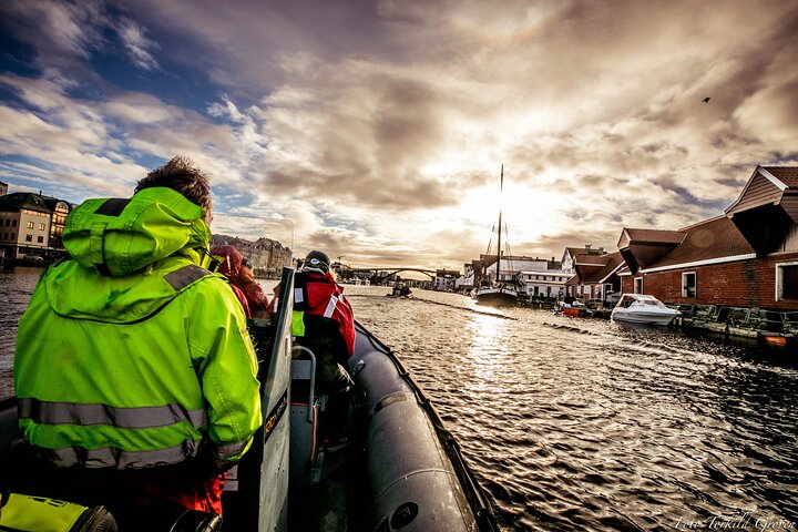 Rib safari Tour in Haugesund - Image 1