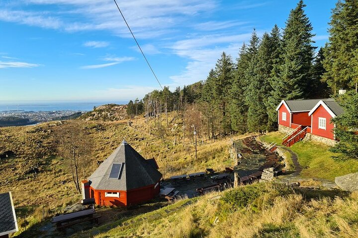 Scenic tour to Steinsfjellet, locals at Kringsjå & Rising Tide - Image 1