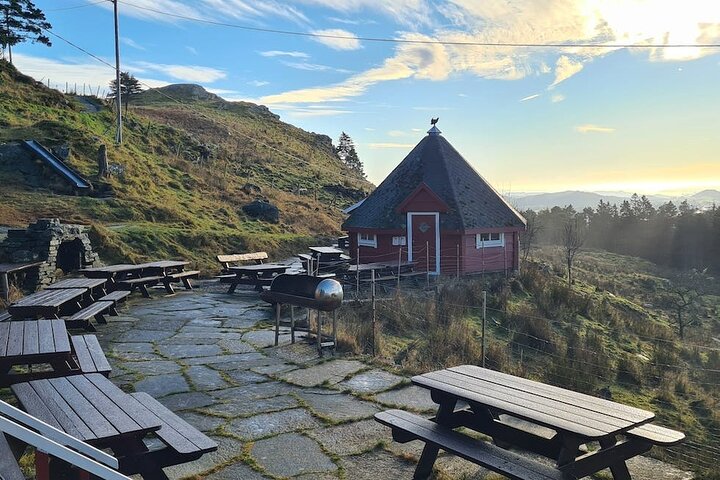 Scenic tour to Steinsfjellet, locals at Kringsjå & Rising Tide - Image 3