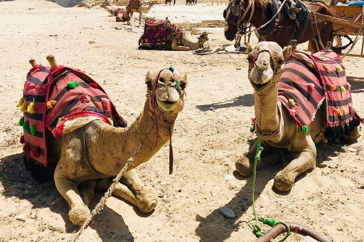 All Inclusive Full Day Tour to Pyramids,Sphinx,Memphis,& Saqqara - Image 4