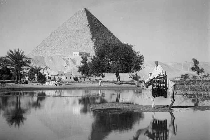 Daily tours , pre arranged vacations ,Nile cruise,Safari ,pyramids and much more - Image 2