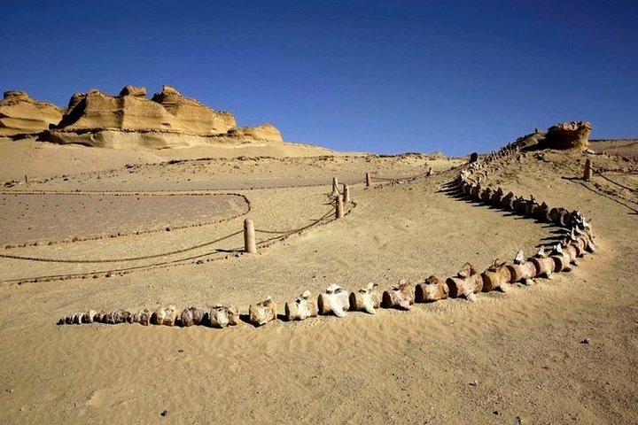Day Tour to Al Fayoum From Cairo  - Image 2