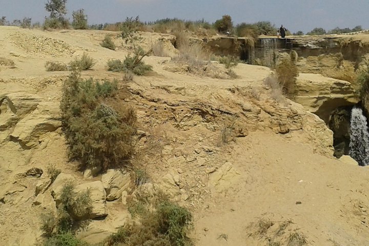 Day Tour to El-Fayoum from Cairo - Image 4