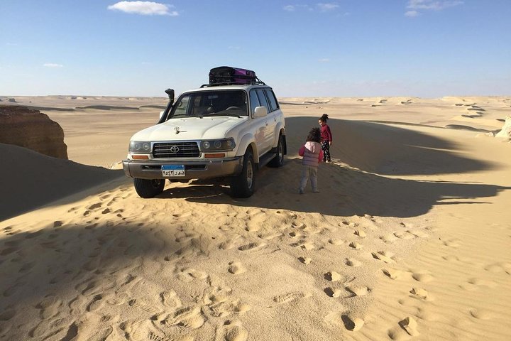 Day Tour to El-Fayoum from Cairo - Image 5