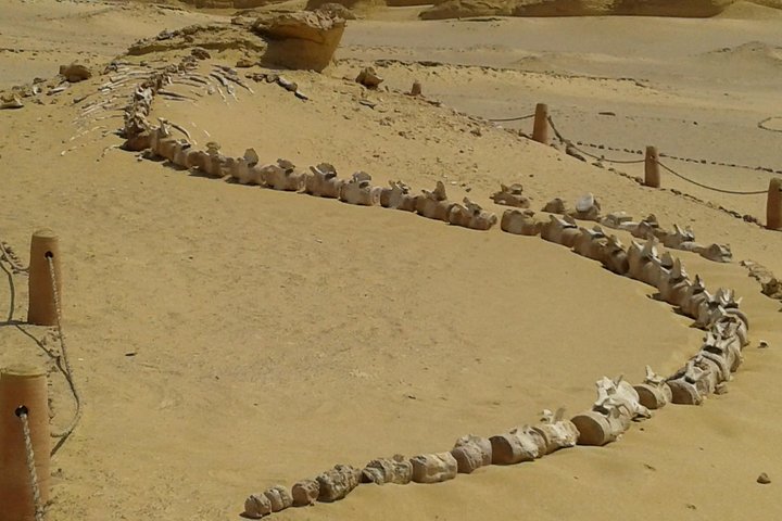 Day Tour to El-Fayoum from Cairo - Image 2