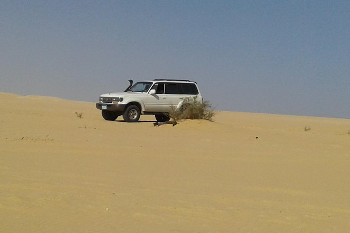 Day Tour to El-Fayoum from Cairo - Image 3