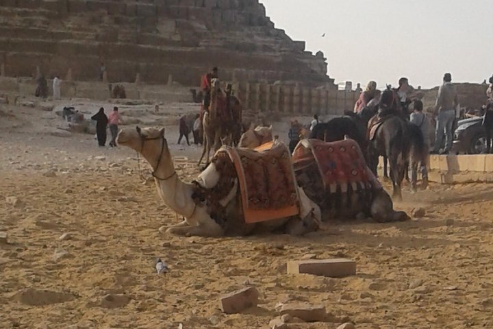 Day Tour To Giza Pyramids With Camel Ride And Egyptian Museum In Cairo - Image 1