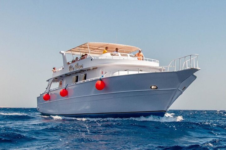 Dolphins House Snorkeling Tour Hurghada  - Image 5
