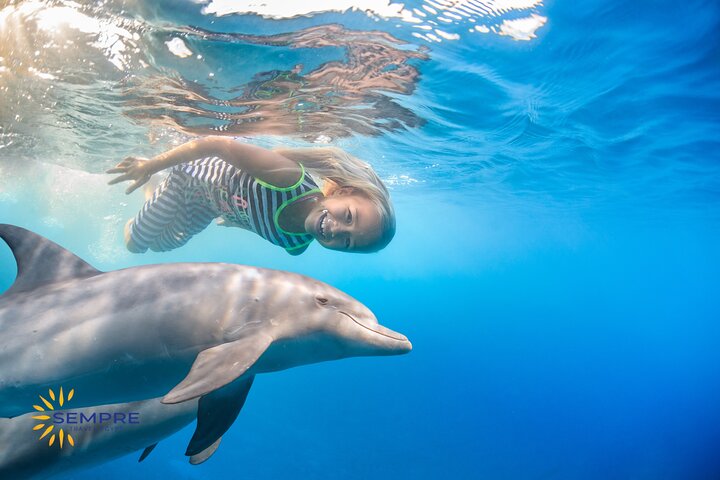 Dolphins House Snorkeling Tour Hurghada  - Image 1