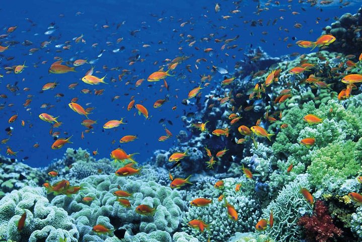 Egypt Culture Tour and Beach Holiday Combined Package 11 Days with Flights Inc - Image 4