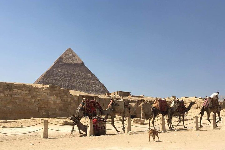 Enjoy 10 Days with Egypt 24 Travel - Image 2