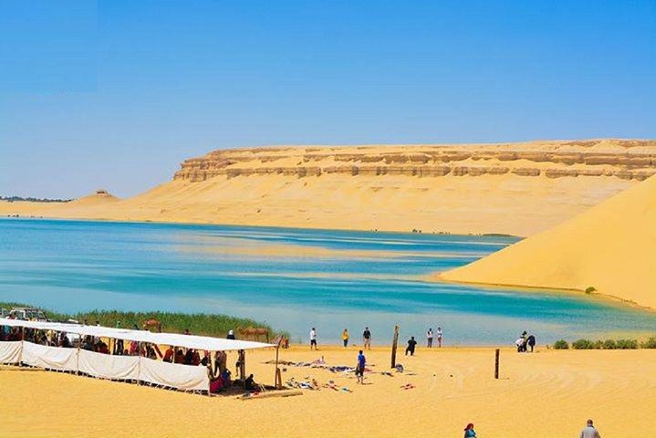 Fayoum oasis Whales valley & Waterfalls day tour - Image 1