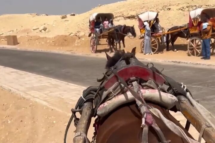 Full Day All Inclusive Private Tour to Giza Pyramids with Lunch  - Image 4