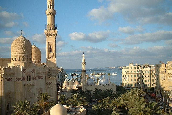  Full-Day Guided Private Tour to Alexandria From Alexandria - Image 5