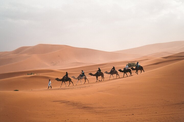 Great Ancient 25 Days Egypt Package - Image 1