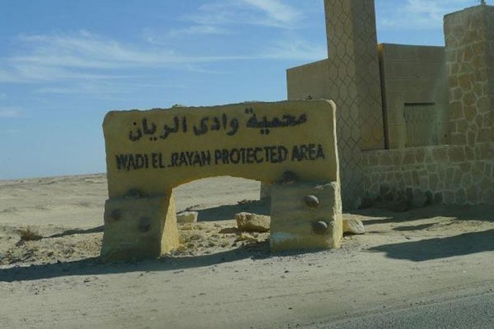 Jeeb Safari Tour to Fayoum Oasis from Cairo - Image 2