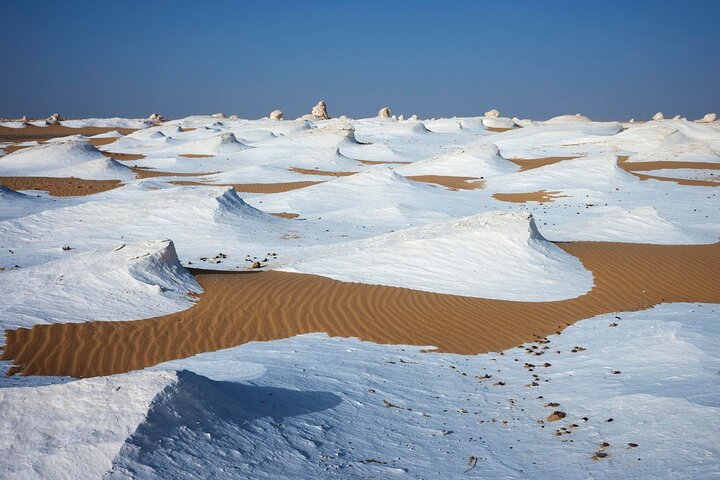 Overnight Camping from Cairo at the White and Black Desert “Bahareya oasis” . - Image 4