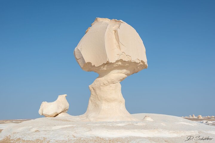 Overnight Camping from Cairo at the White and Black Desert “Bahareya oasis” . - Image 2