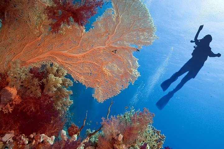 Private 14 Nights Cairo, Nile Cruise & Sharm El Sheikh - Image 1