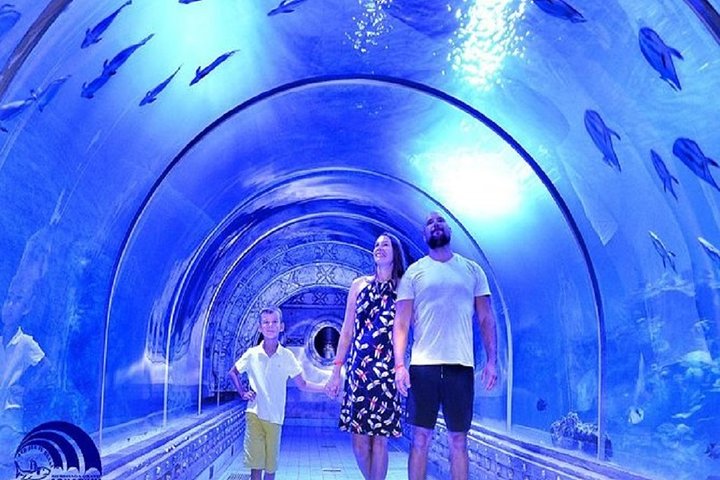 Private 5 Nights Cairo & Hurghada Tour - Image 4