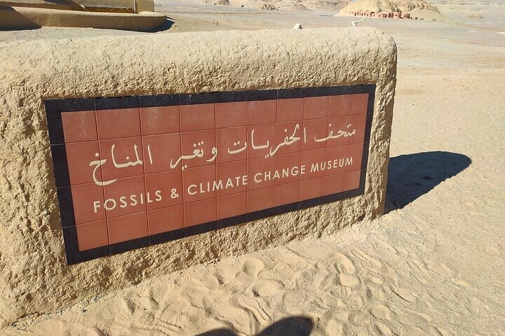 Private Day Tour to El Fayoum Oasis - Image 3