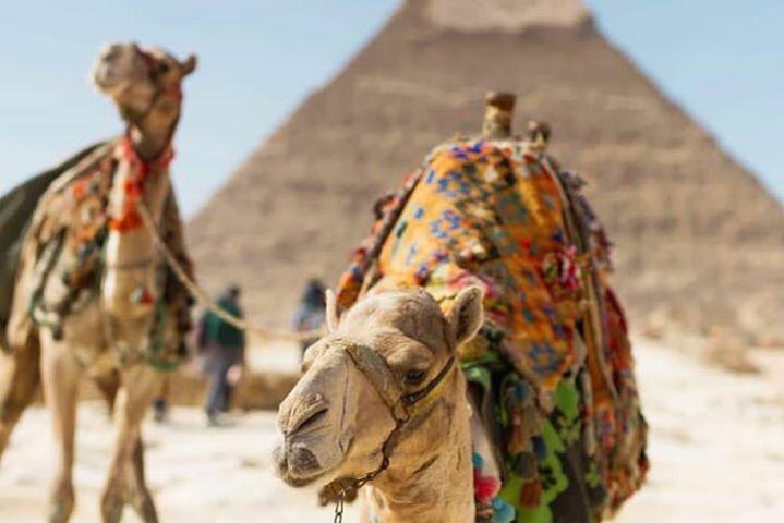 Private full day tour Giza, Sakkara and Memphis - Image 2