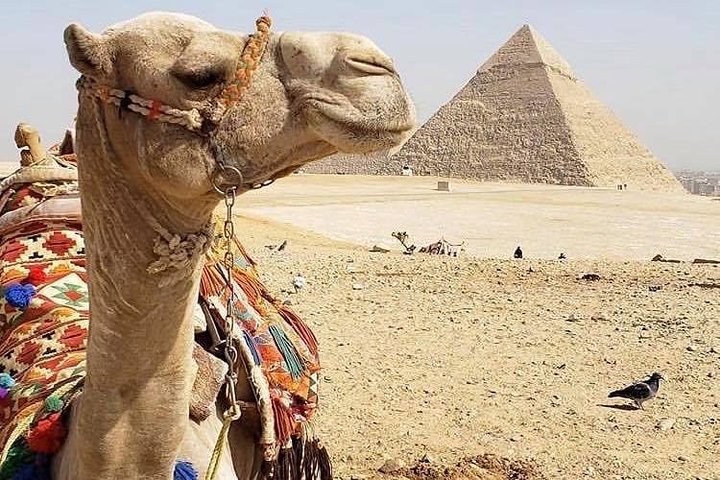 Private Half-Day Trip to Giza Pyramids, Sphinx &Museum of Egyptian Civilization  - Image 4