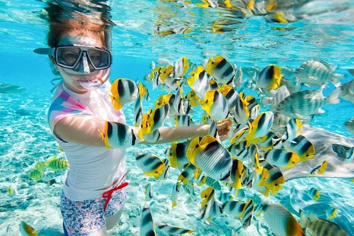 Red Sea Hurghada and Snorkeling Tour - Image 1