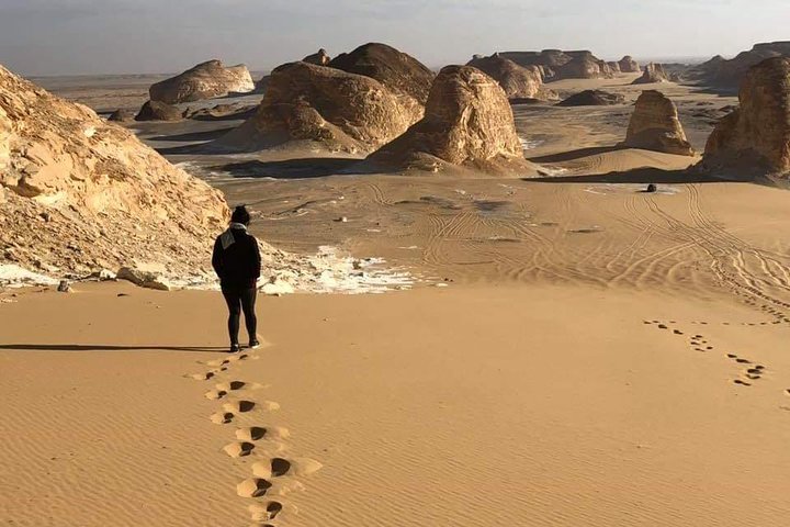 White Desert Safari - Image 2