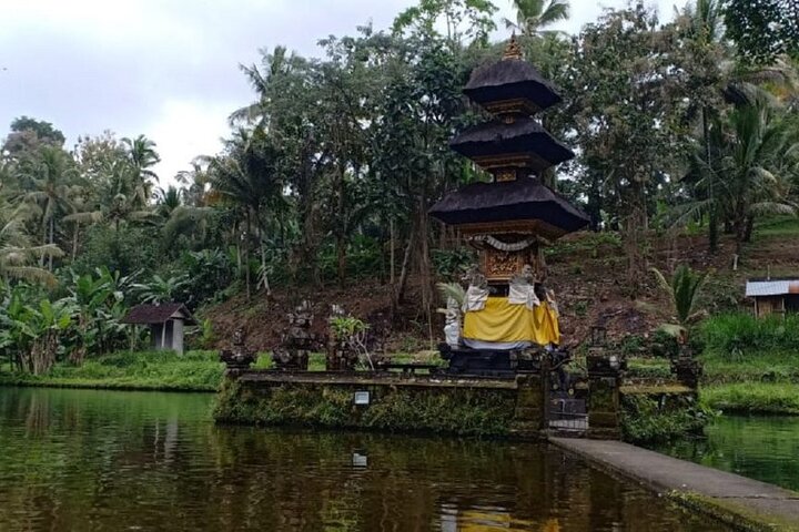 Bali ATV Combined with Mumbul Lake And Sangeh Monkey Forest  - Image 5