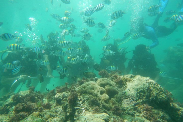  Bali Beaches Hopping - Uluwatu Temple - Image 5
