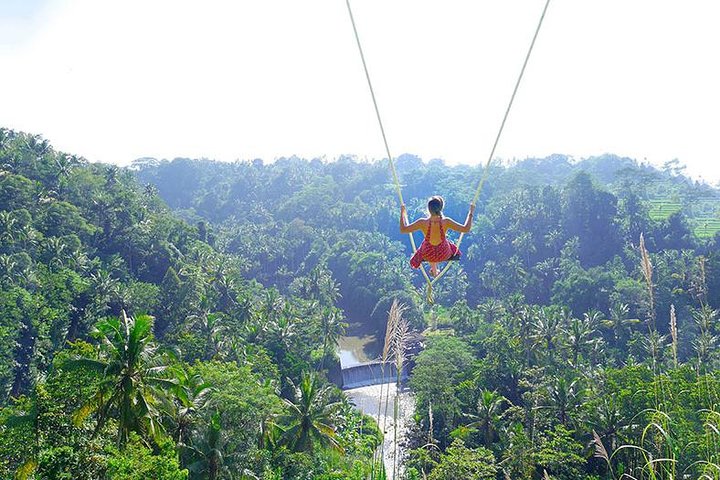 Bali Jungle Swing and White Water Rafting All Inclusive - Image 1