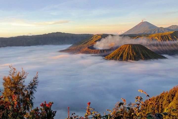 Bromo Sunrise Tour 2 Days 1 Private Tour - Image 2